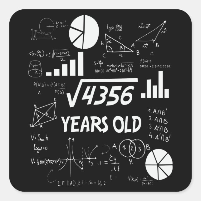66 Year Old Bday Math Teacher 66th Birthday Gift Square Sticker (Front)