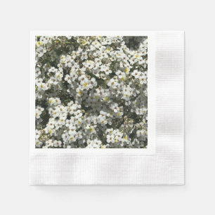 66th Anniversary Napkin