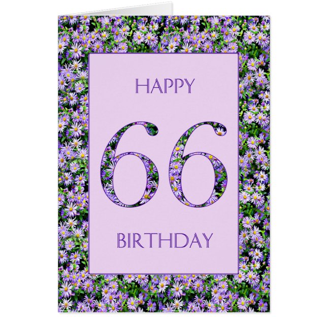 66th Birthday Purple Daisies (Front)