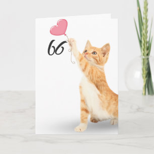 66th birthday tabby cat card