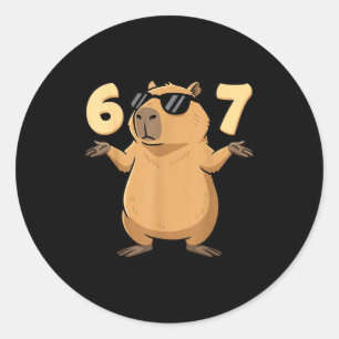 67 Capybara Meme 6 7 Aesthetic For Kids Young Adul Classic Round Sticker