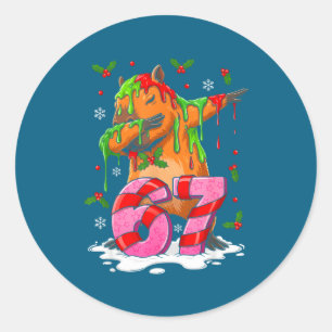 67 Christmas Funny 67 Brainrot Youth Kids Capybara Classic Round Sticker
