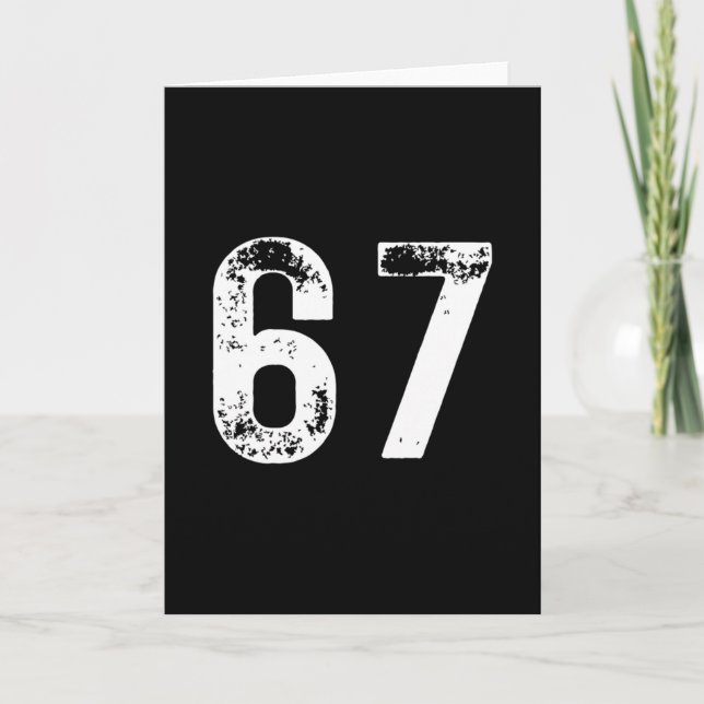 67 - Funny Meme Pullover Hoodie  Card (Front)