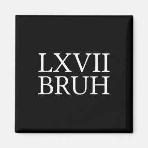67 History Meme Six Seven Bruh Funny History Teach Magnet