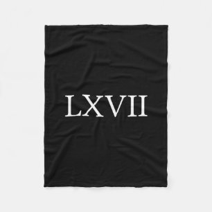 67 History Meme Six Seven Historian Funny History Fleece Blanket