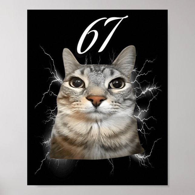 67 Meme Cat Howling At Moon Brainrot Funny 6 7  Poster (Front)