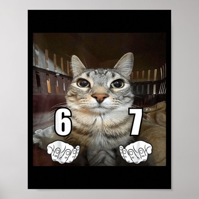 67 Meme Funny Cat Six Seven Meme 6 7  Poster (Front)