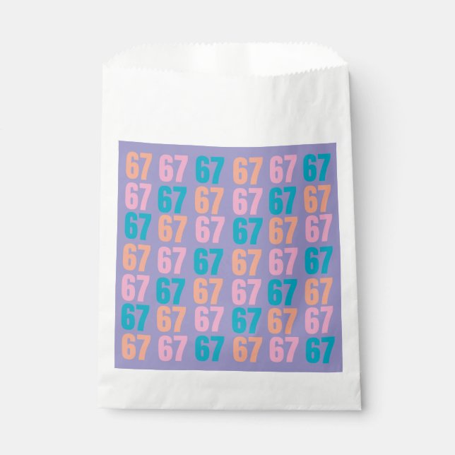 67 Party Favor Bags (Front)