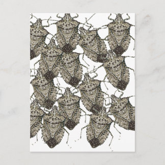 6-07-14 stink bugs rev.png postcard