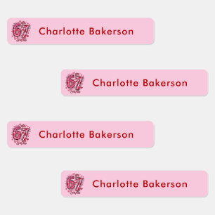 6 7 Six Seven Meme Trend Girls Waterproof Labels
