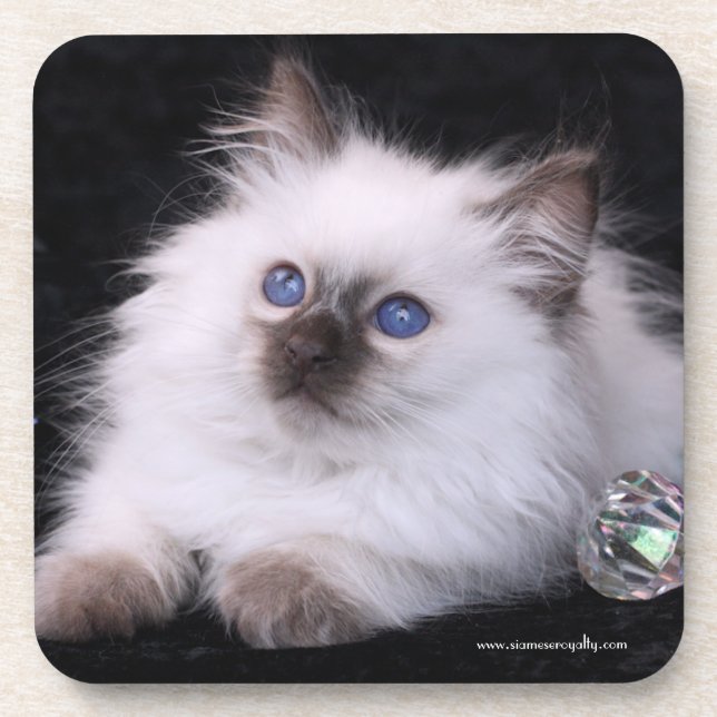 6 Balinese Hard Plastic coasters with cork back (Front)