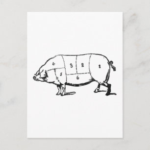 6 Degrees of  Bacon Postcard