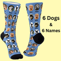 6 Dogs, 6 Names, Dog Photo - Personalised Blue