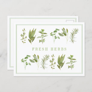 6 FRESH HERBS Postcard 