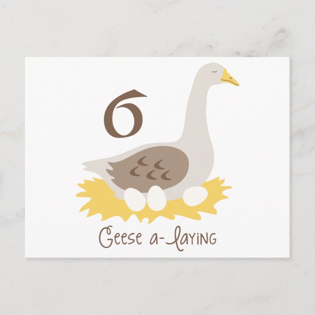 6 Geese A-Laying Postcard (Front)
