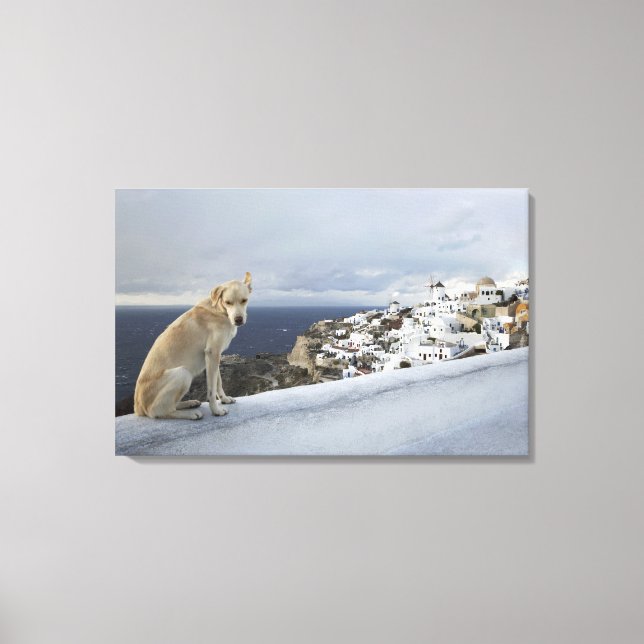 6-Nov Canvas Print (Front)