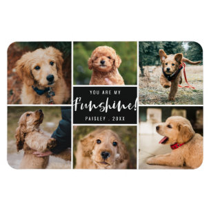 6 Photo Collage You Are My Funshine Black Pet Magnet