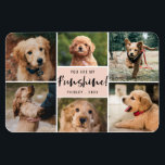 6 Photo Collage You Are My Funshine | Peach Pet Magnet<br><div class="desc">This modern styled photo magnet features stylish typography,  reading,  "You are my Funshine"!  Six photo templates are included to showcase your favourite photos! A text template is also included for name and year.  Colour can be customised to any colour you'd like!</div>