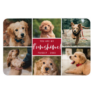 6 Photo Collage You Are My Funshine Red Pet Magnet
