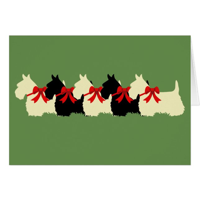 6 Scottish Terrier black/wheaten, bow / blank (Front Horizontal)