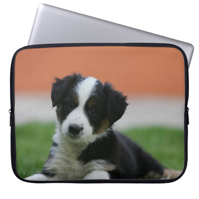 6 Week Old Border Collie Laptop Sleeve (Front)