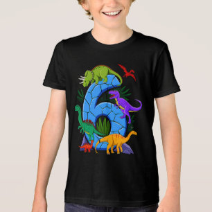 6 Year Old Dinosaur Birthday 6th T Rex Dino Six  Tri-Blend Shirt