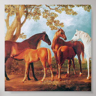 6a Mares and Foals Poster