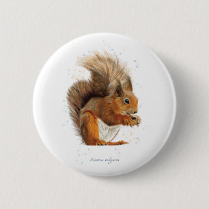 6cm Round Badge Featuring the Red Squirrel
