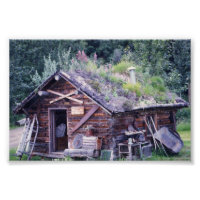 6x4 photo at Denali