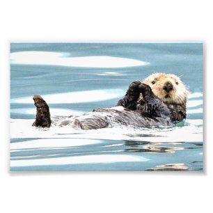 6x4 photo of otters print