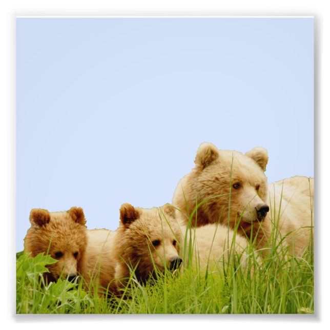 6x6  Kodak Professional Photo Paper (Satin) Print (Front)