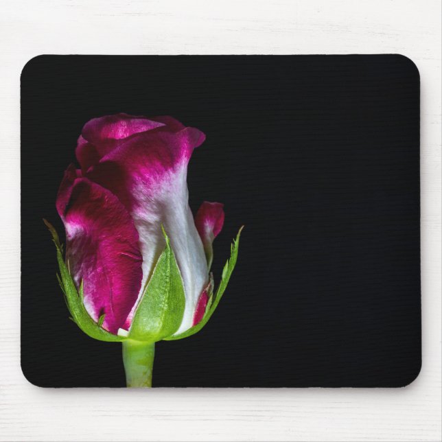 7019-Red Tipped White Rose Mouse Pad (Front)
