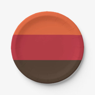 70s Retro Striped Color Pattern Paper Plate