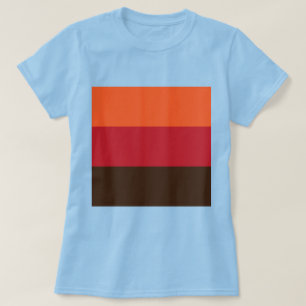 70s Retro Striped Color Pattern T-Shirt