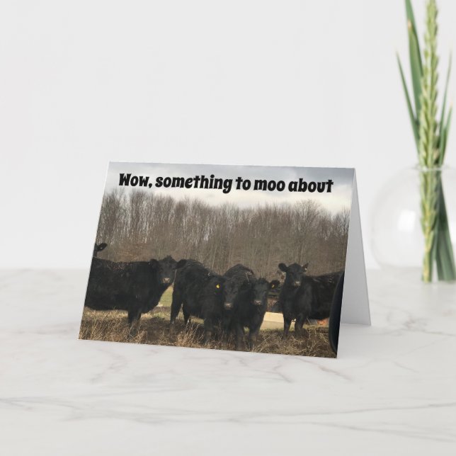**70th** BIRTHDAY is SOMETHING TO "MOO ABOUT" Card (Front)