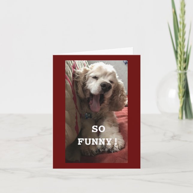 **70th BIRTHDAY WISH FROM COMEDIC SPANIEL** Card (Front)