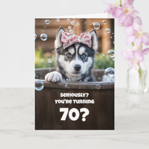 70th Happy Birthday Cute Funny Husky Puppy Dog Spa Card