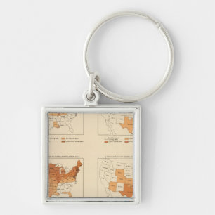 72 Density, proportion, increase, foreign born Key Ring