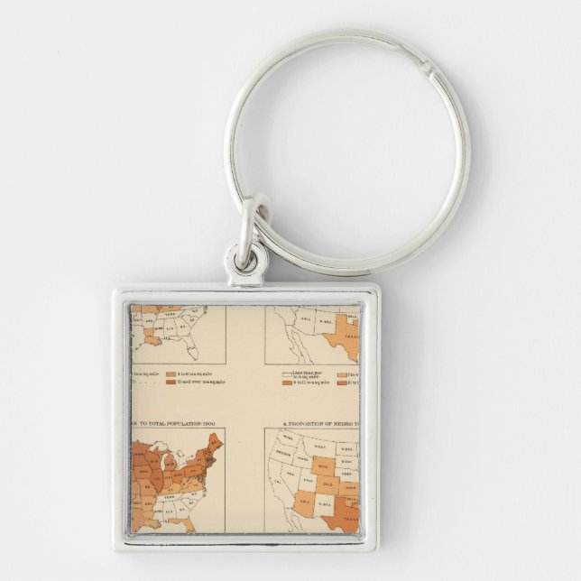 72 Density, proportion, increase, foreign born Key Ring (Front)