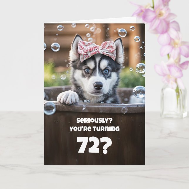 72nd Happy Birthday Cute Funny Husky Dog Funny Card (Orchid)