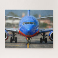 737 AIRLINER (16x20 INCH)