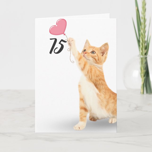75th birthday tabby cat card (Front)