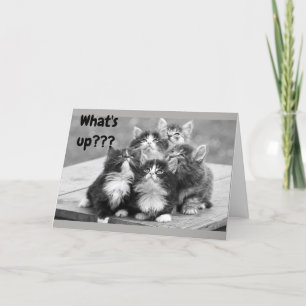 *75th BIRTHDAY WISHES* WHAT'S UP? YOUR AGE! Card