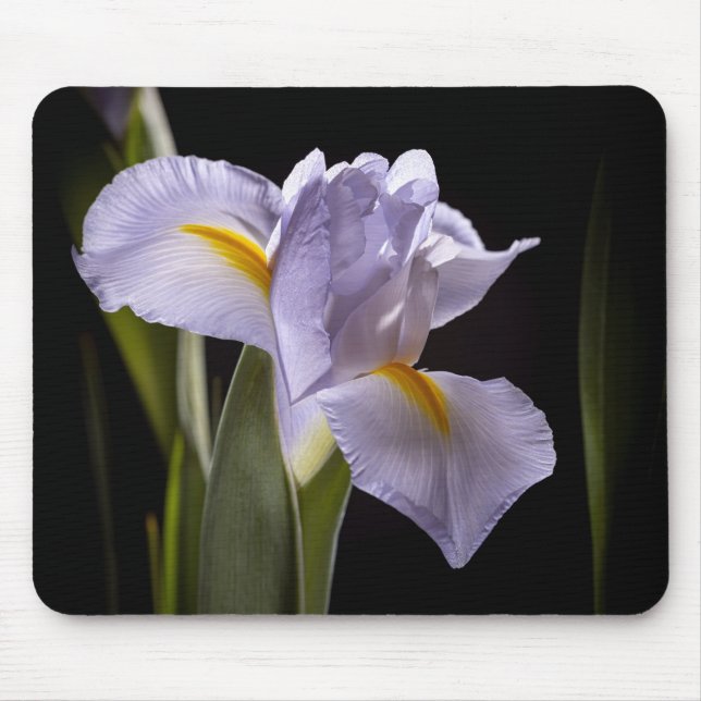 7659-2-Purple Iris Mouse Pad (Front)