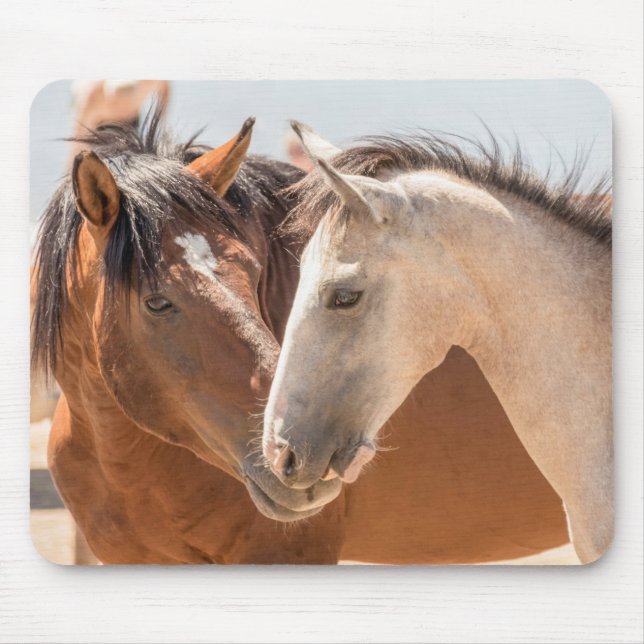 7911-Two Wild Mustangs Mouse Pad (Front)