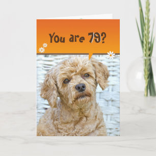 79th birthday brown poodle on wicker card