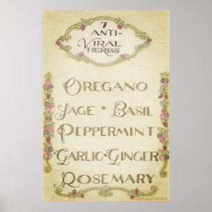 7 Anti-Viral Herbs Wall Art (Vintage)