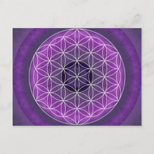 7 crown chakra created by Tutti Postcard