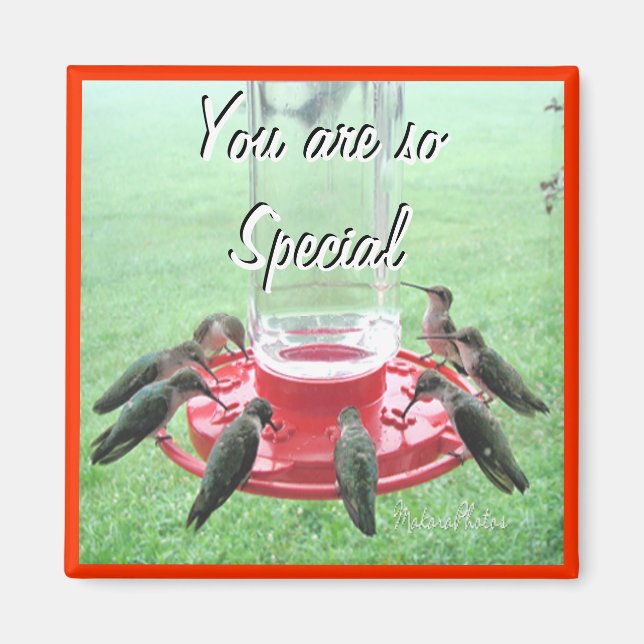 7 Hummingbirds- customise Magnet (Front)