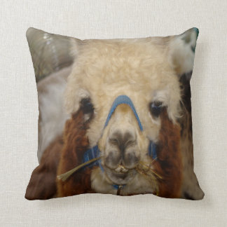 #7-Llamas & Alpacas Cushion